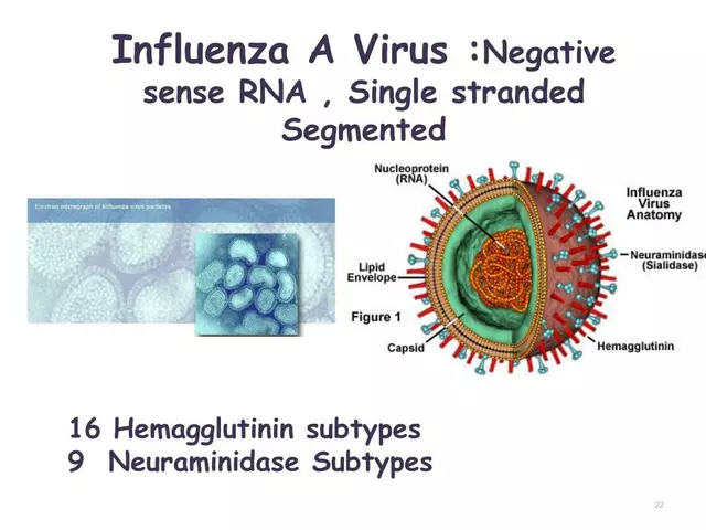 Exploring Amantadine's Potential in Treating Influenza A
